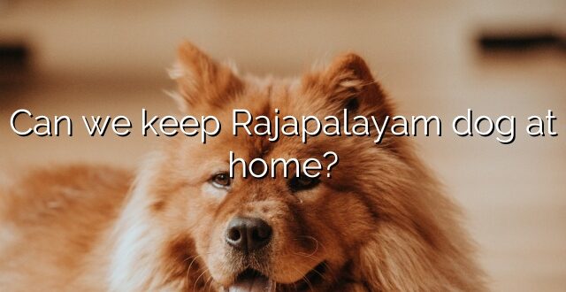Can we keep Rajapalayam dog at home?