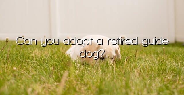 Can you adopt a retired guide dog?