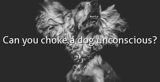 Can you choke a dog unconscious?