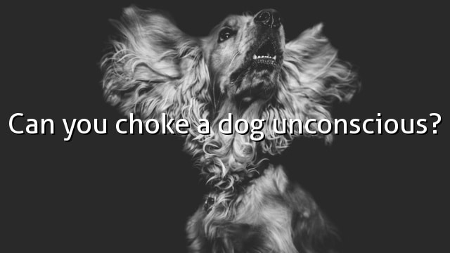 Can you choke a dog unconscious?