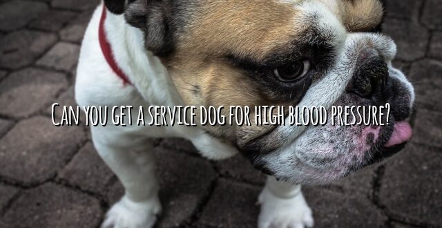 Can you get a service dog for high blood pressure?