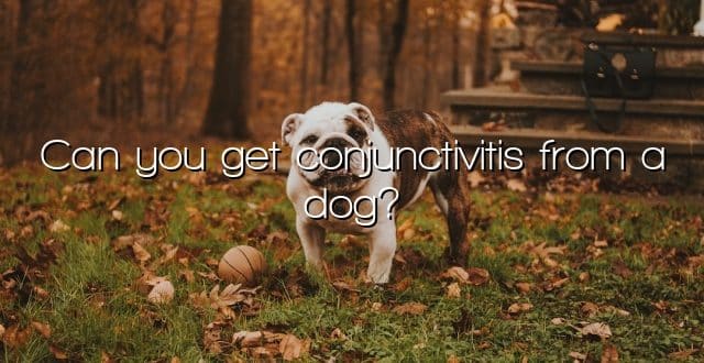 Can you get conjunctivitis from a dog?