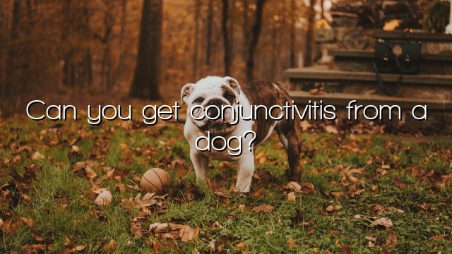 Can you get conjunctivitis from a dog?