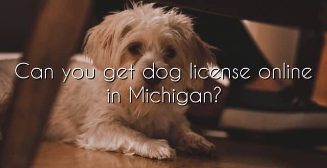 Can you get dog license online in Michigan?