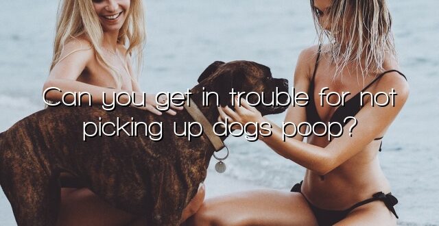 Can you get in trouble for not picking up dogs poop?