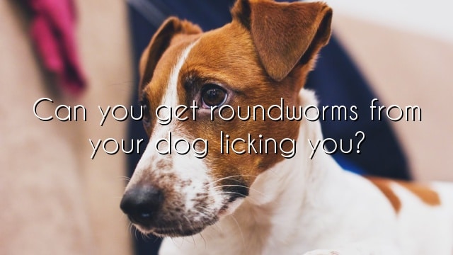 Can you get roundworms from your dog licking you?