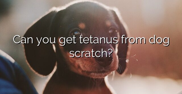Can you get tetanus from dog scratch?