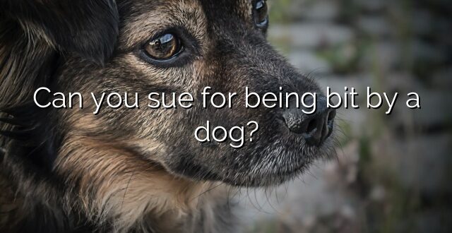 Can you sue for being bit by a dog?