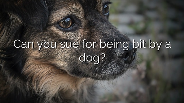 Can you sue for being bit by a dog?