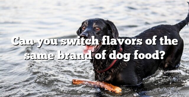 Can you switch flavors of the same brand of dog food?