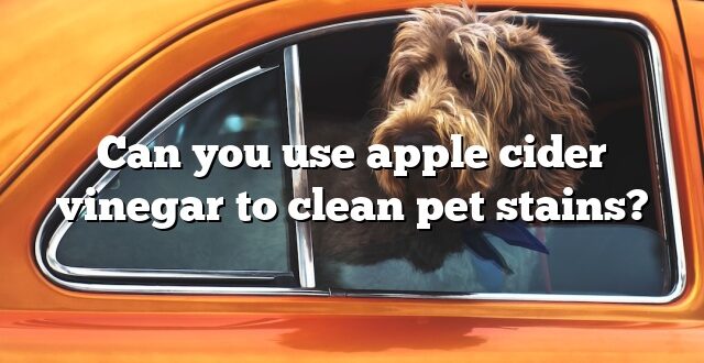 Can you use apple cider vinegar to clean pet stains?
