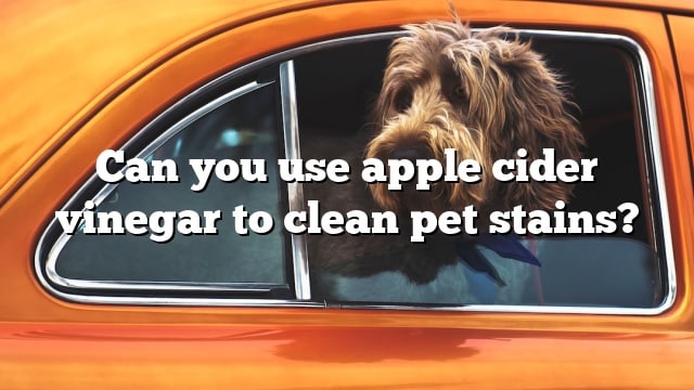 Can you use apple cider vinegar to clean pet stains?