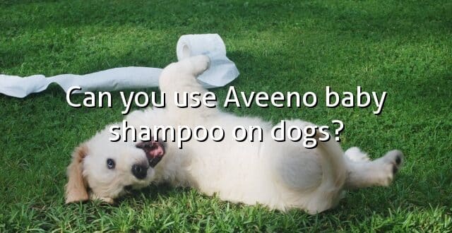 Can you use Aveeno baby shampoo on dogs?