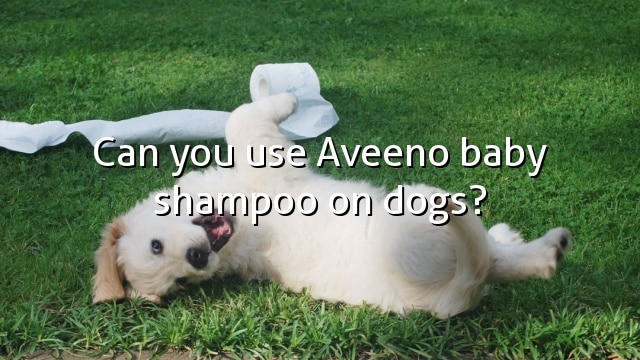 Can you use Aveeno baby shampoo on dogs?
