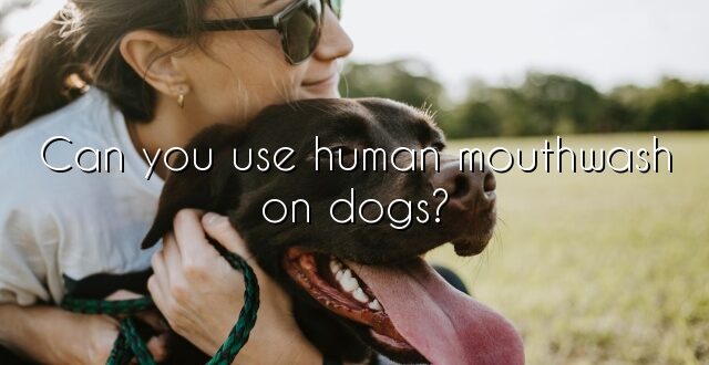 Can you use human mouthwash on dogs?