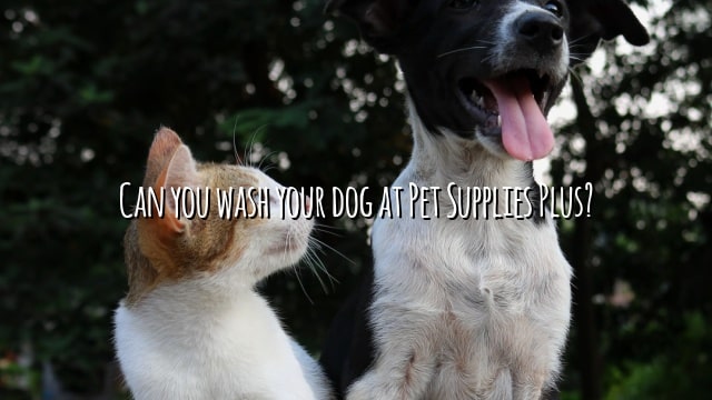 Can you wash your dog at Pet Supplies Plus?