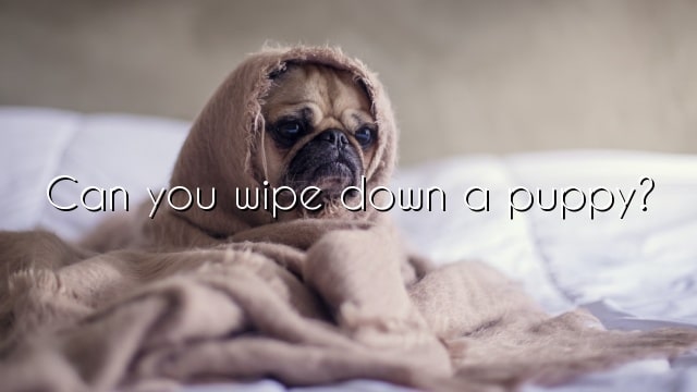 Can you wipe down a puppy?
