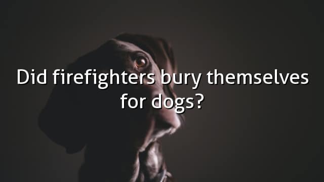 Did firefighters bury themselves for dogs?