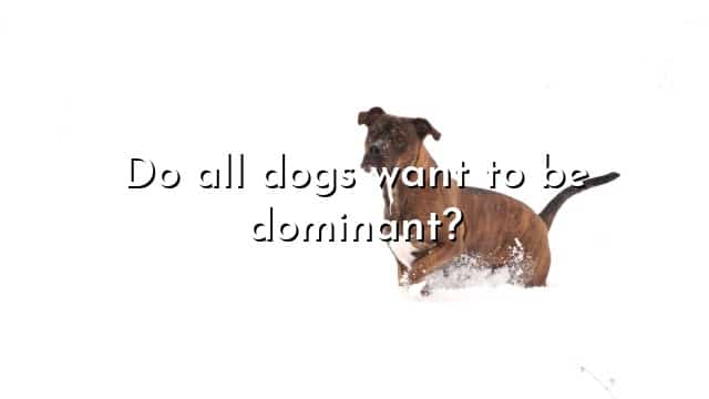 Do all dogs want to be dominant?
