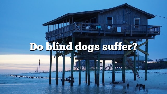 Do blind dogs suffer?
