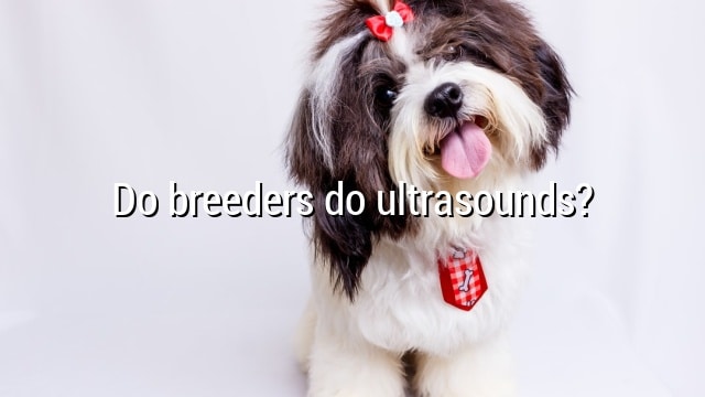 Do breeders do ultrasounds?