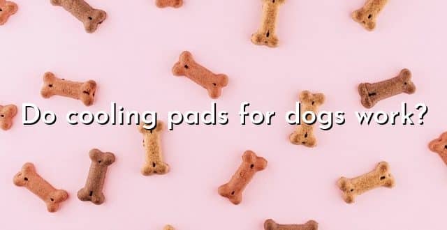 Do cooling pads for dogs work?