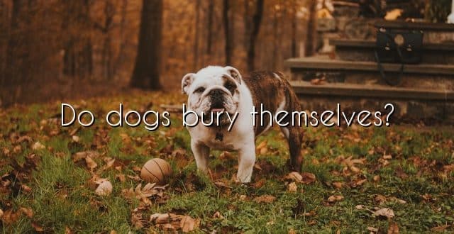 Do dogs bury themselves?