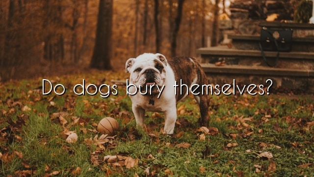 Do dogs bury themselves?