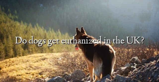 Do dogs get euthanized in the UK?