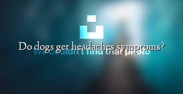 Do dogs get headaches symptoms?