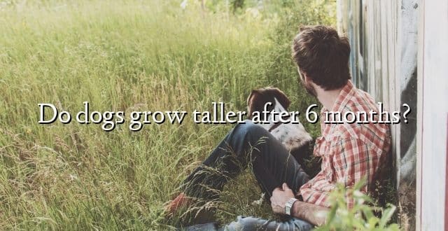 Do dogs grow taller after 6 months?