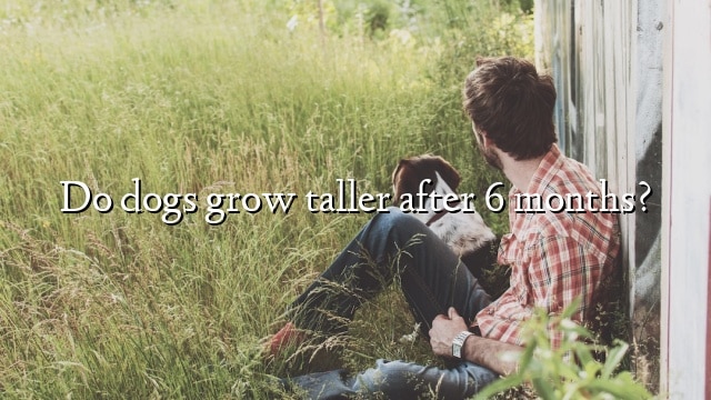Do dogs grow taller after 6 months?