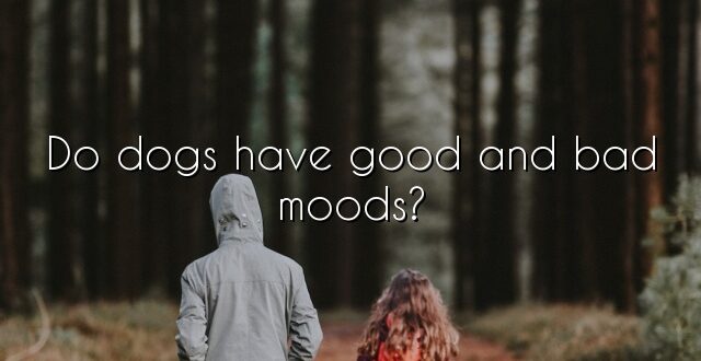 Do dogs have good and bad moods?