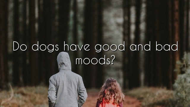 Do dogs have good and bad moods?