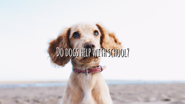 Do dogs help with school?