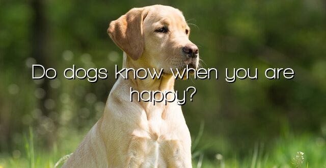 Do dogs know when you are happy?