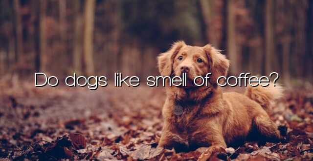 Do dogs like smell of coffee?