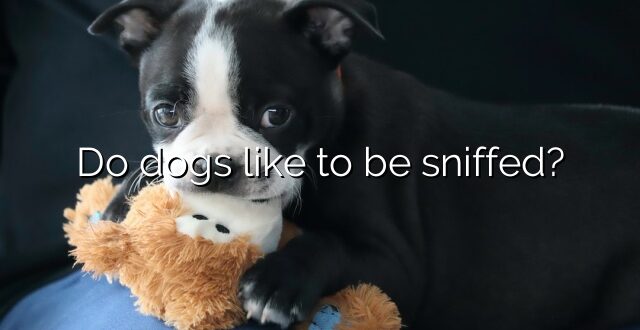 Do dogs like to be sniffed?