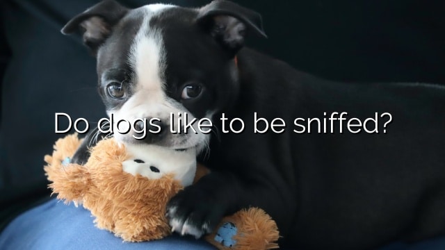 Do dogs like to be sniffed?