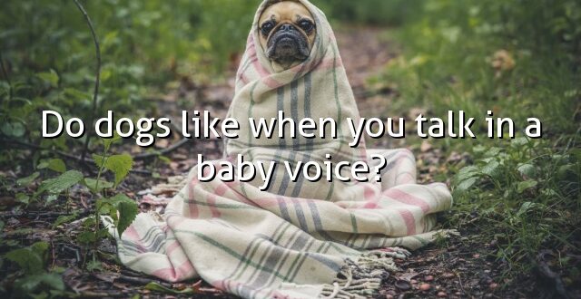 Do dogs like when you talk in a baby voice?