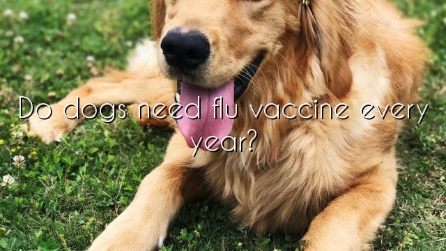 Do dogs need flu vaccine every year?
