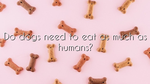 Do dogs need to eat as much as humans?