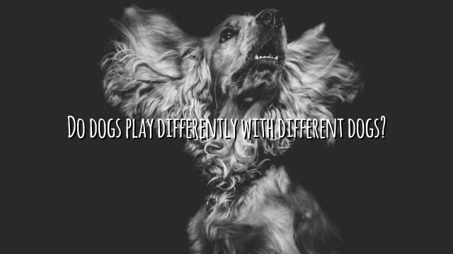 Do dogs play differently with different dogs?