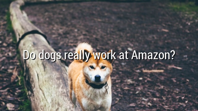 Do dogs really work at Amazon?