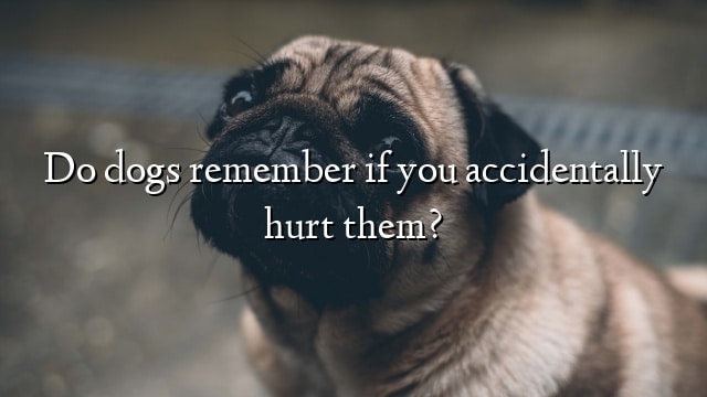 Do dogs remember if you accidentally hurt them?