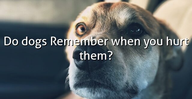 Do dogs Remember when you hurt them?
