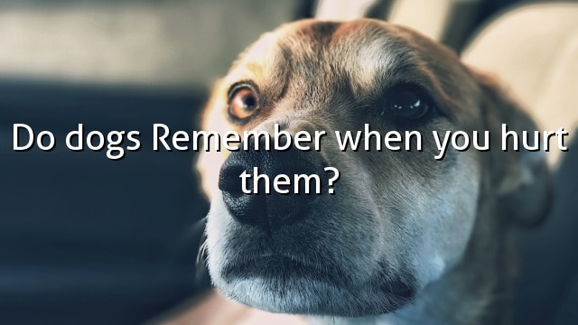 Do dogs Remember when you hurt them?