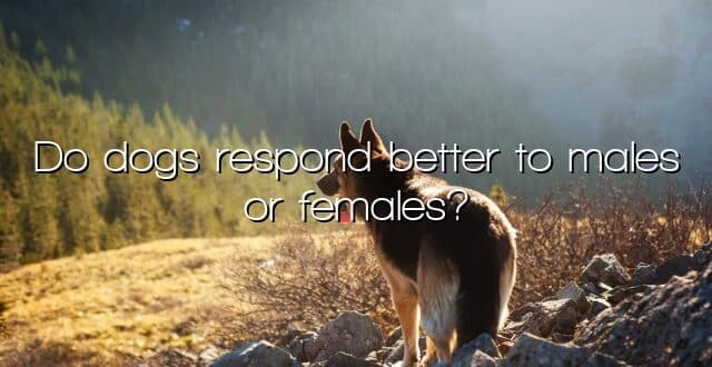 Do dogs respond better to males or females?
