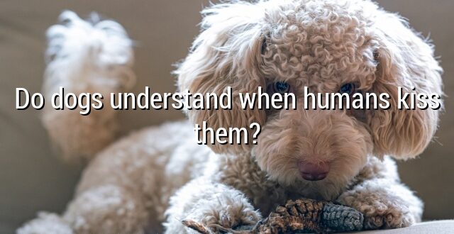 Do dogs understand when humans kiss them?