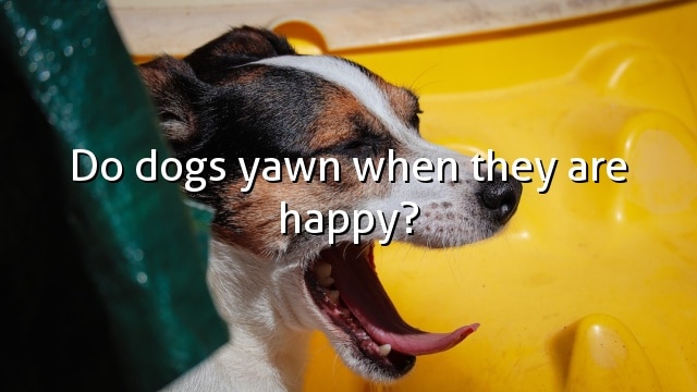 Do dogs yawn when they are happy?